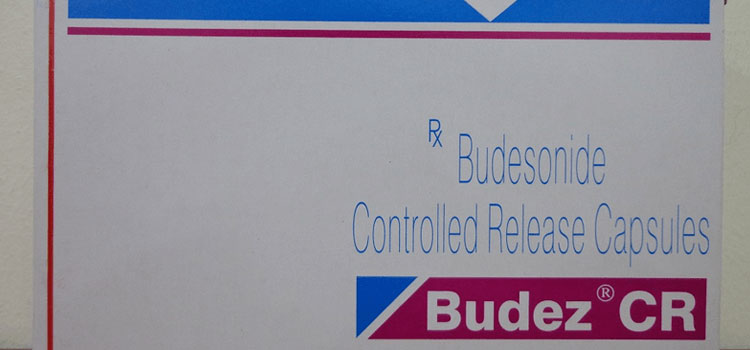 buy Budez in Rhode Island